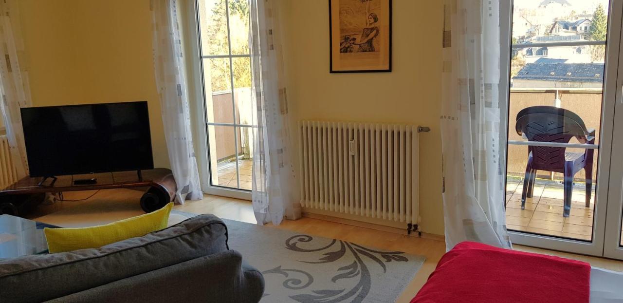 Ferienwohnungen Villa Goldbrunnen Bad Elster Eksteriør billede