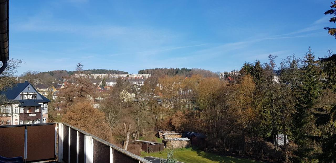 Ferienwohnungen Villa Goldbrunnen Bad Elster Eksteriør billede