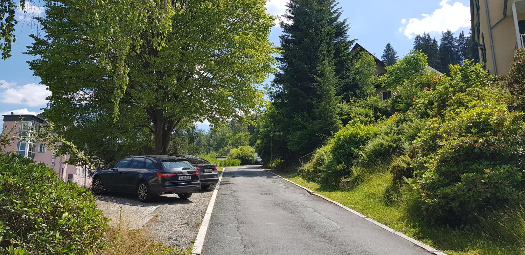 Ferienwohnungen Villa Goldbrunnen Bad Elster Eksteriør billede
