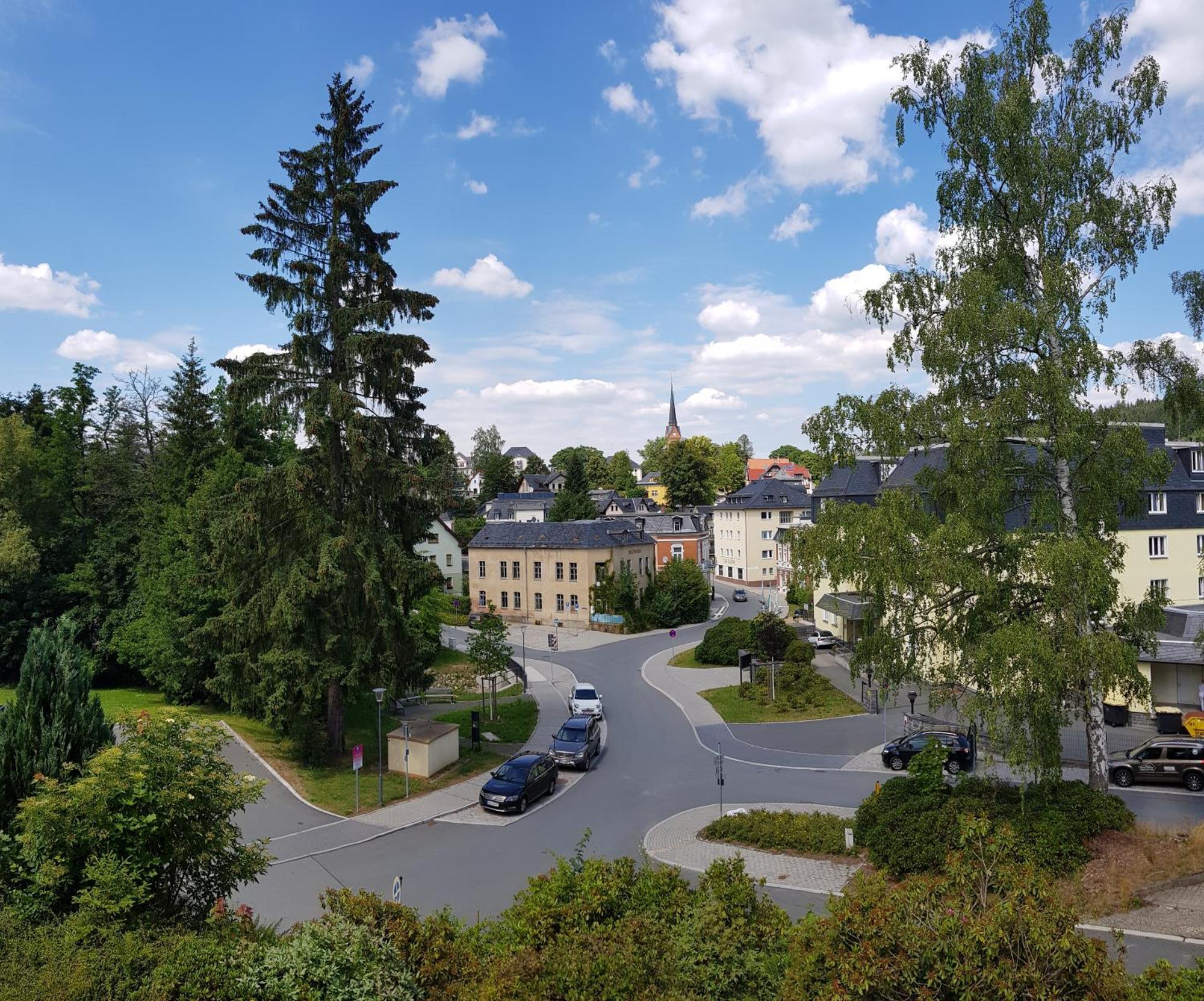 Ferienwohnungen Villa Goldbrunnen Bad Elster Eksteriør billede