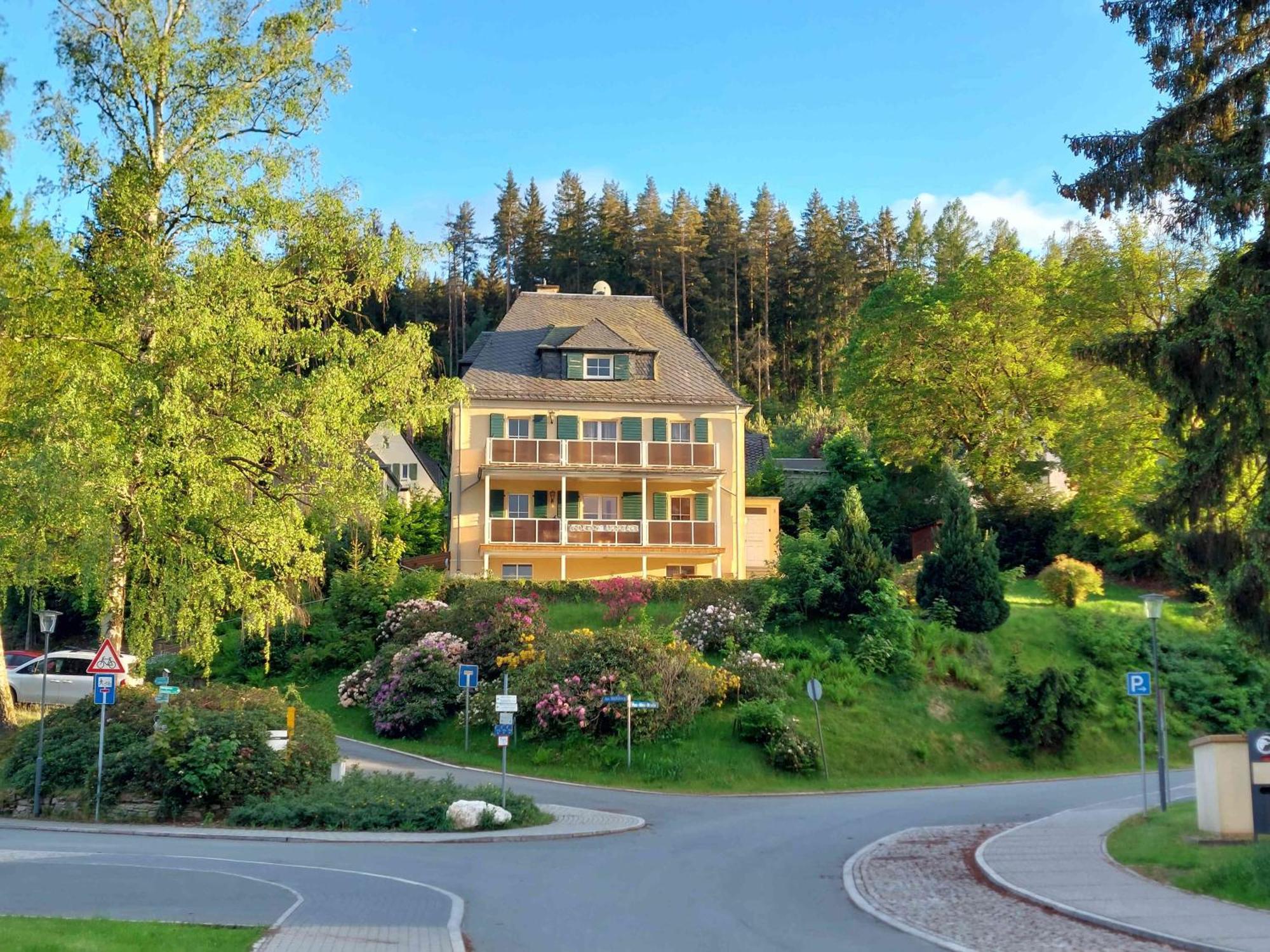 Ferienwohnungen Villa Goldbrunnen Bad Elster Eksteriør billede