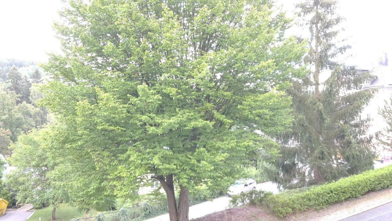 Ferienwohnungen Villa Goldbrunnen Bad Elster Eksteriør billede